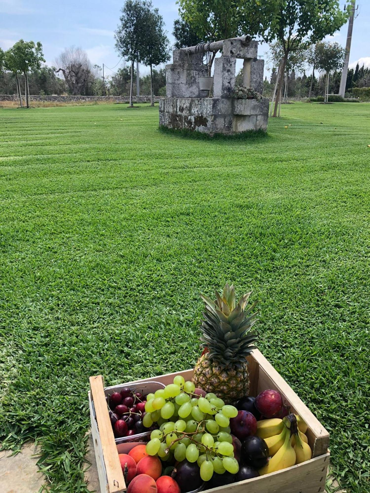 Tenuta Calitre Melendugno Εξωτερικό φωτογραφία